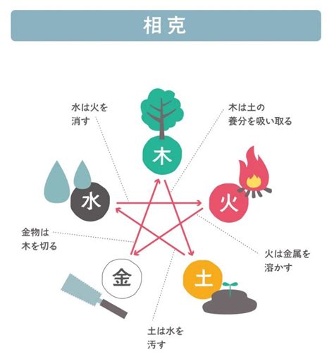 金剋木愛情|【金剋木】正確應用方式，五行相生也相剋 